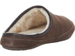 TEMPUR-PEDIC Shiloh -Sperry Sales Store 71Ppsk6CJL